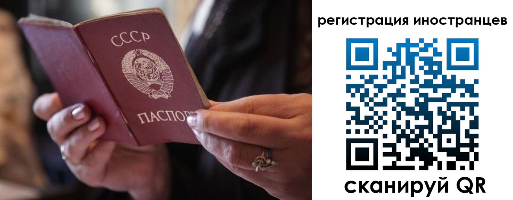 где прописаться в Сальске